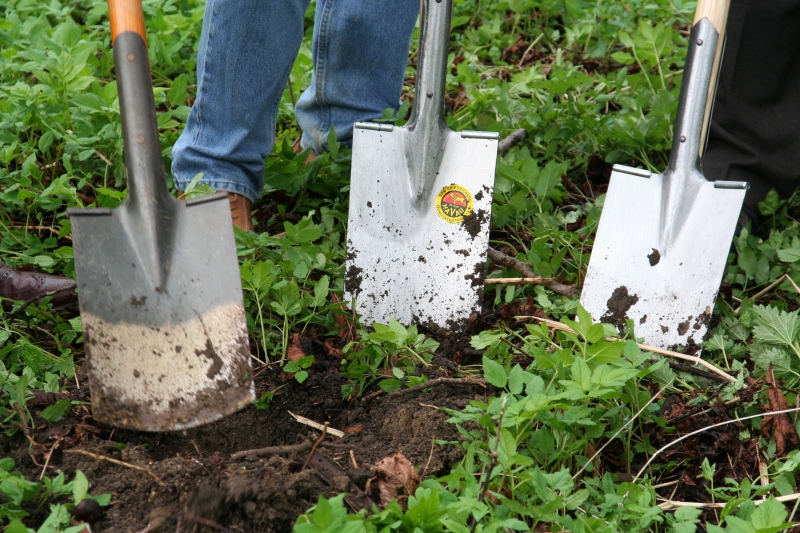 pepiniere-LA BASTIDE-min_work-lawn-flower-tool-green-backyard-1103633-pxhere.com